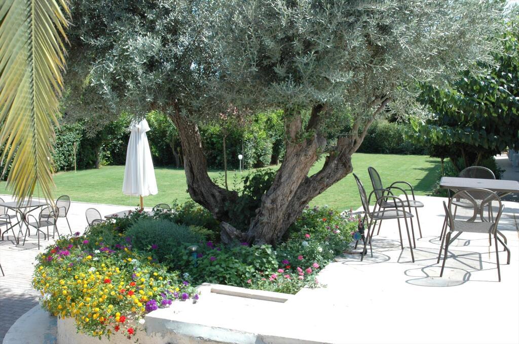 hotel image 9