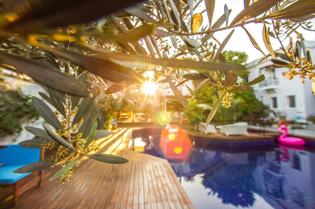 hotel image 20