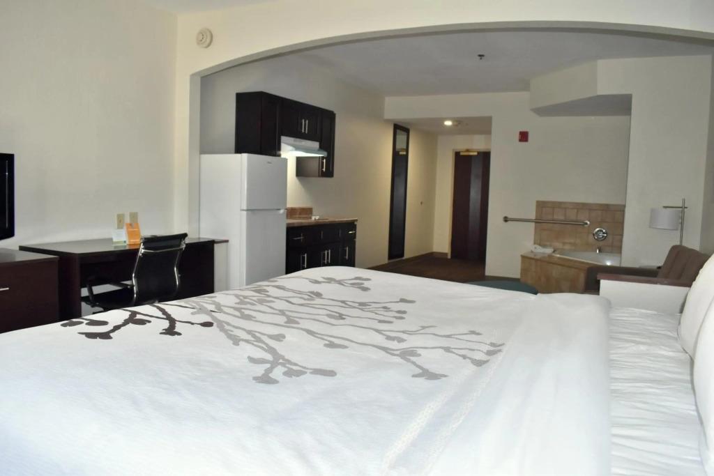 hotel image 43