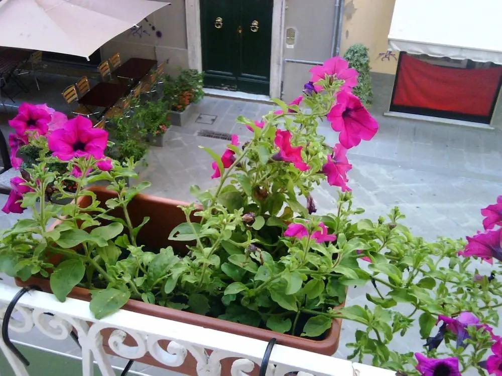 hotel image 29