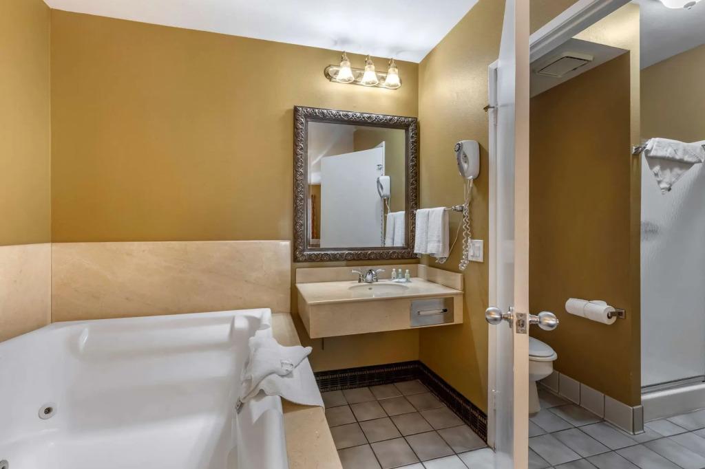 hotel image 21