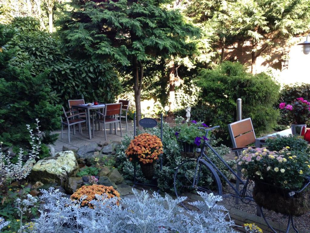 hotel image 9