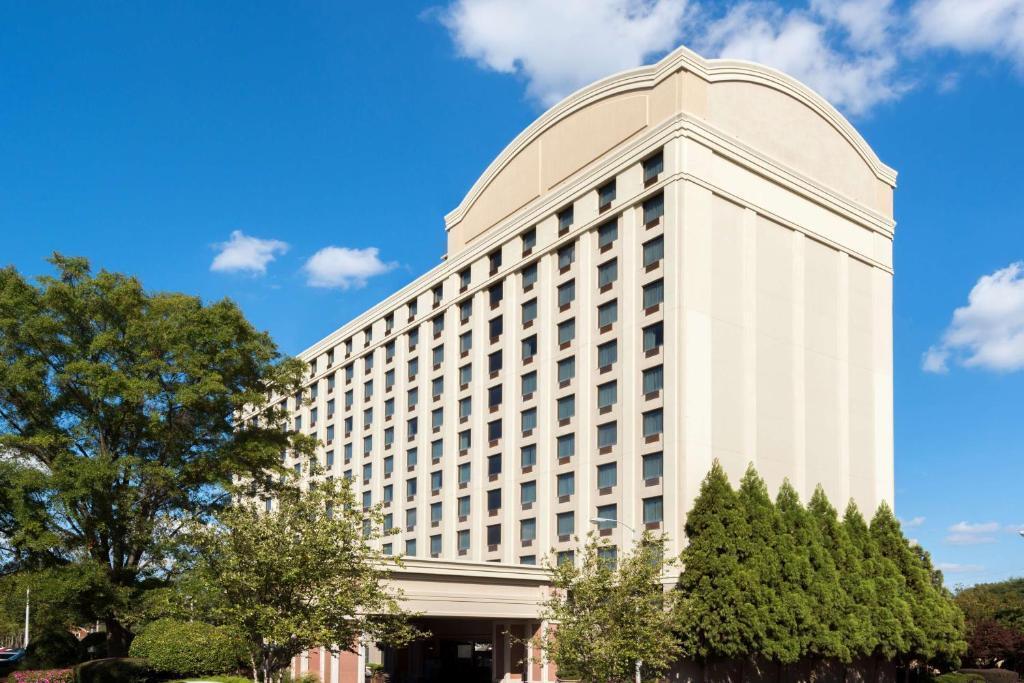 hotel image 8