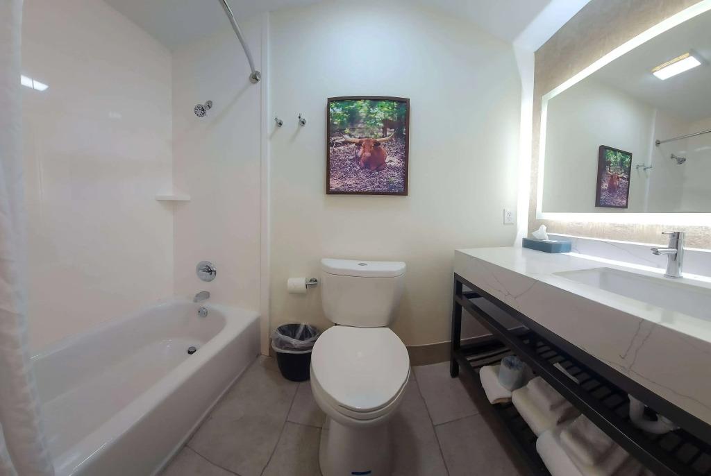 hotel image 16