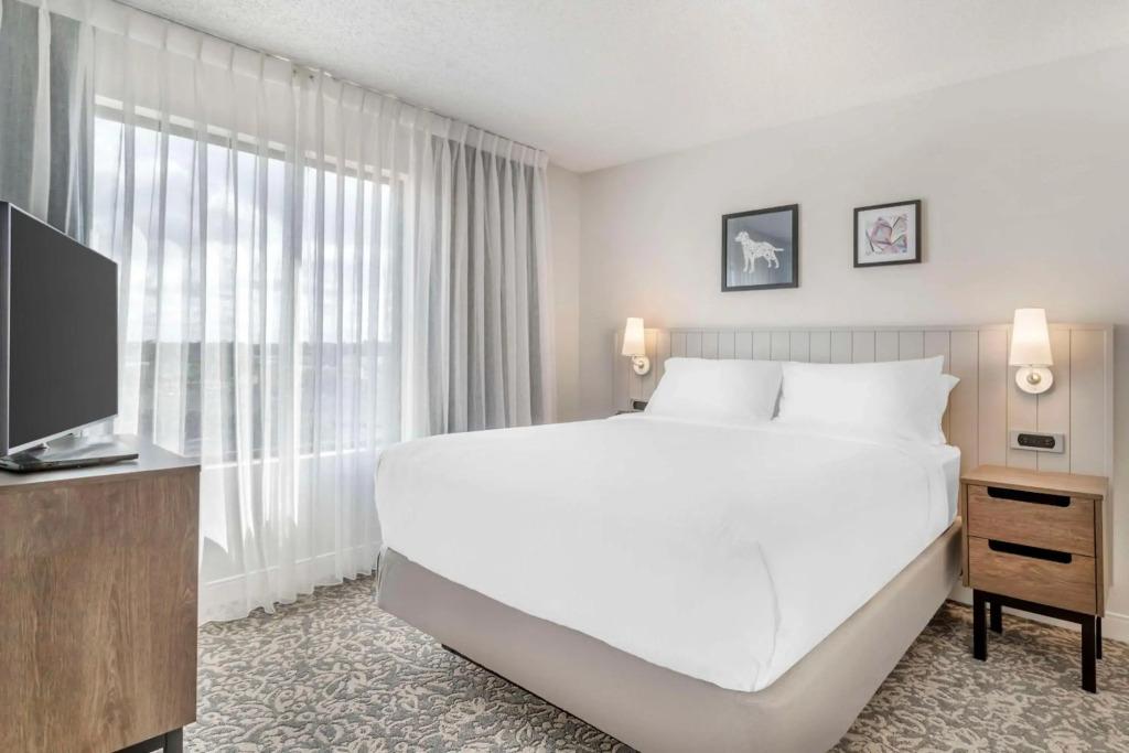 hotel image 19