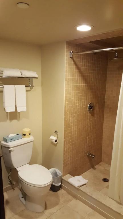 hotel image 18