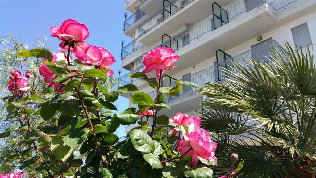 hotel image 16