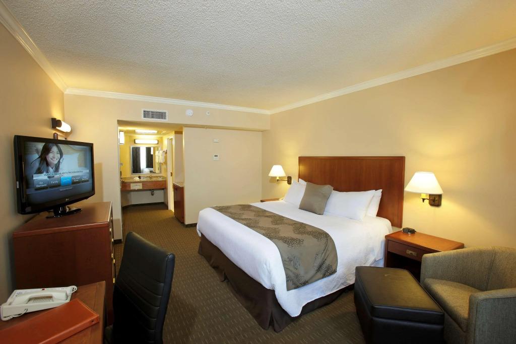 hotel image 37