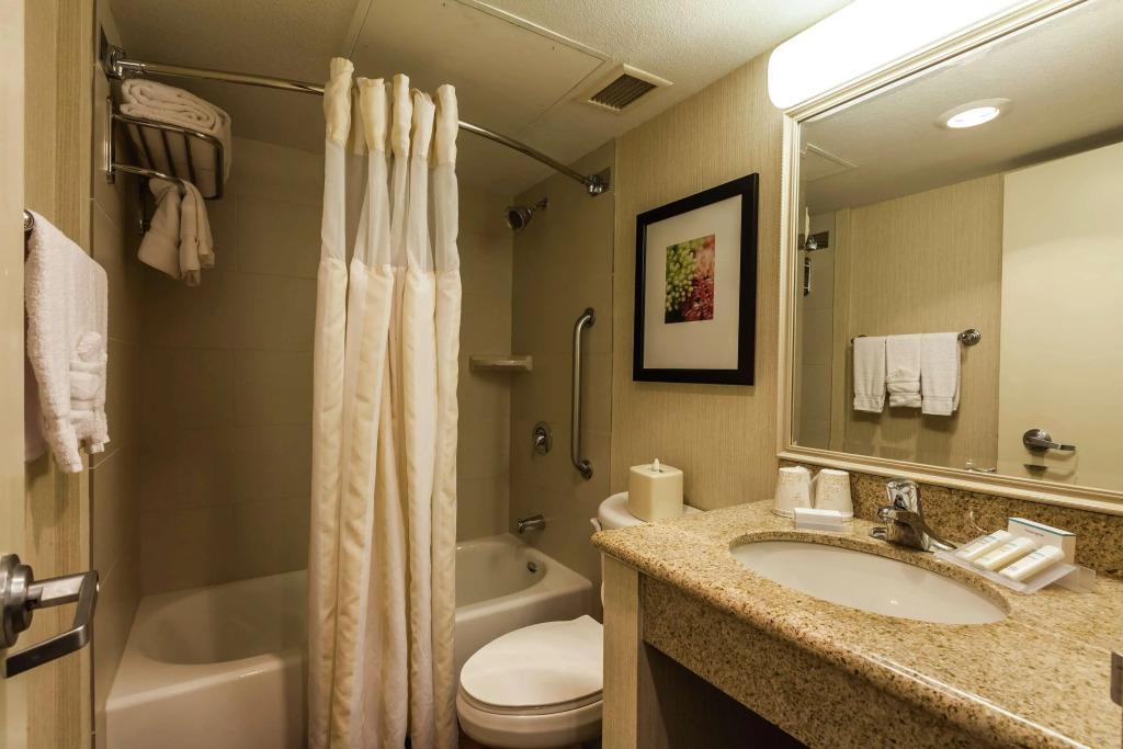 hotel image 10