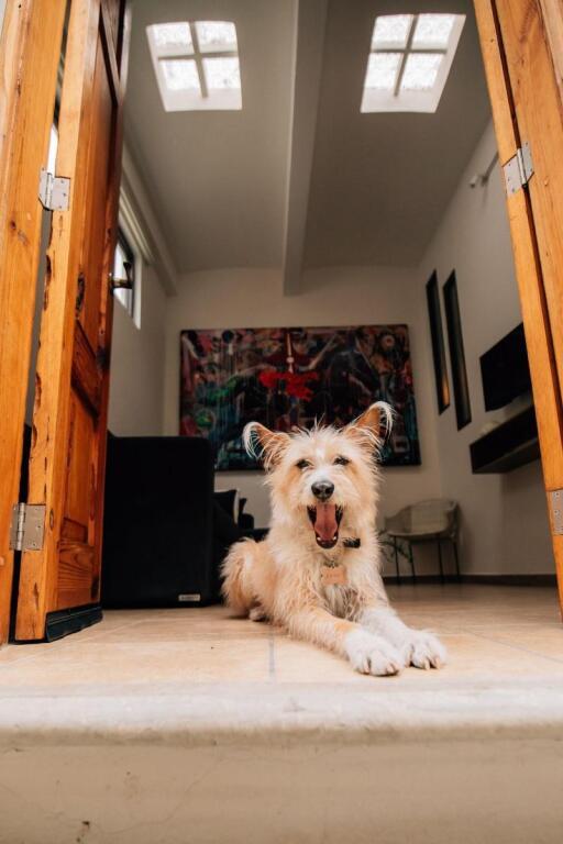 hotel image 8