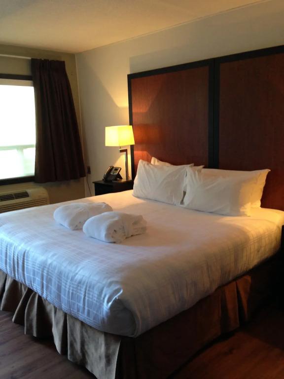hotel image 21