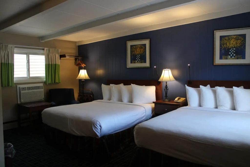 hotel image 16