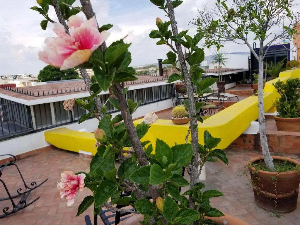 hotel image 64