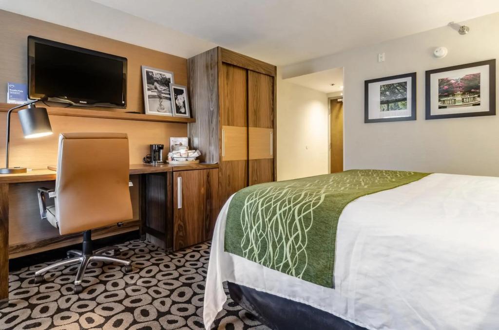 hotel image 36