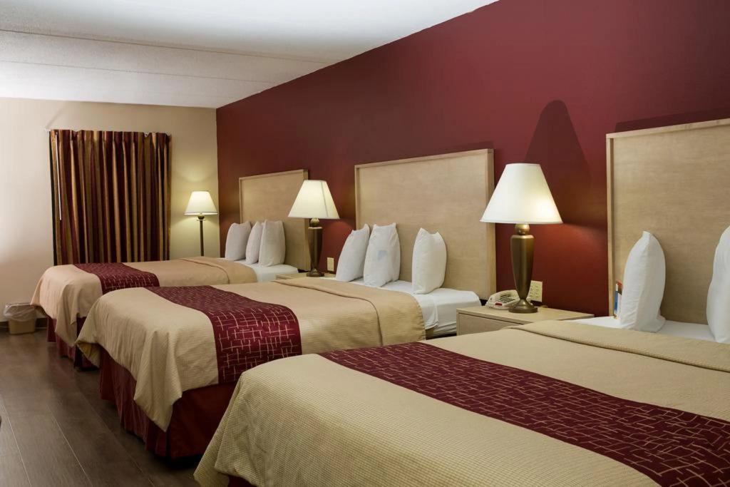 hotel image 7