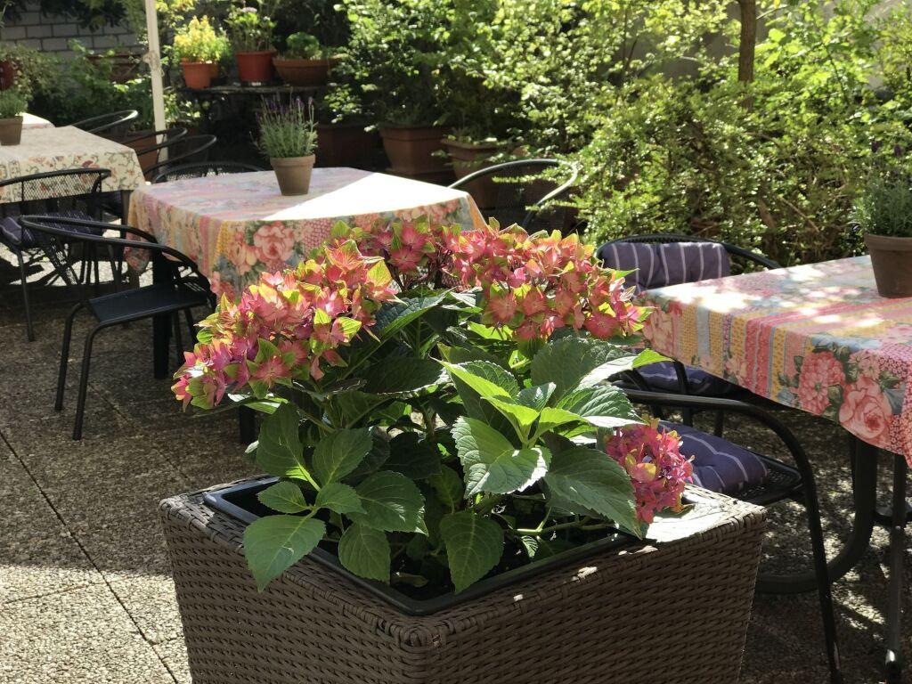 hotel image 14