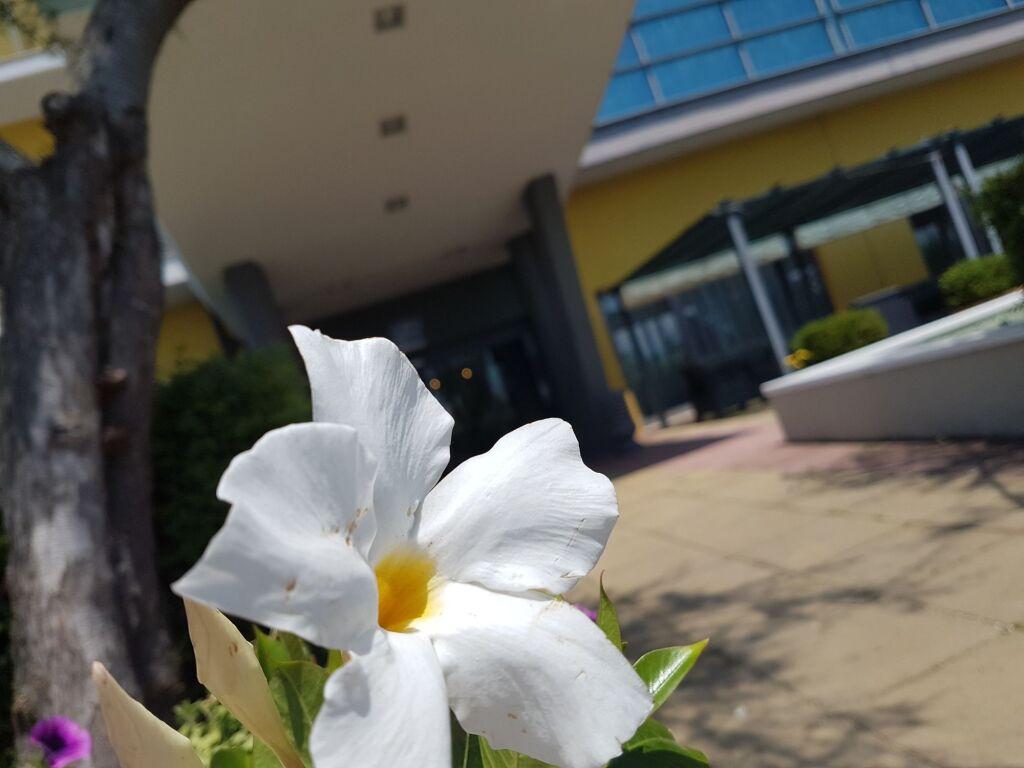 hotel image 43