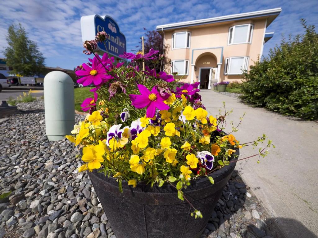 hotel image 31