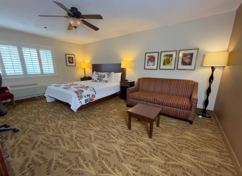 hotel image 41