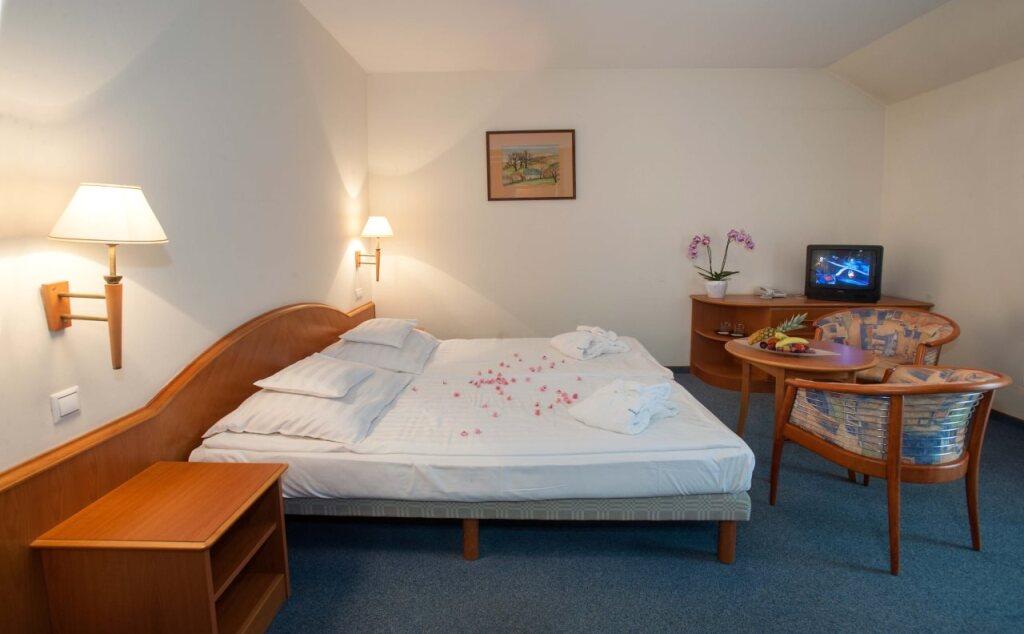 hotel image 10