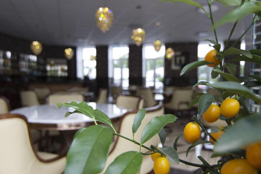 hotel image 24