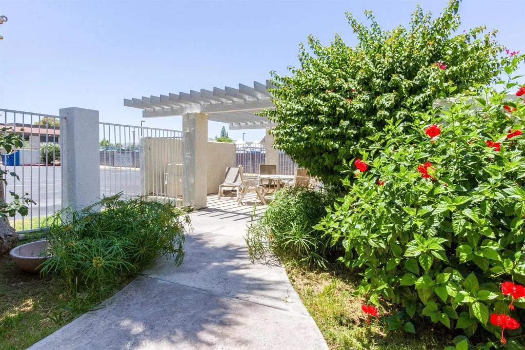 hotel image 13