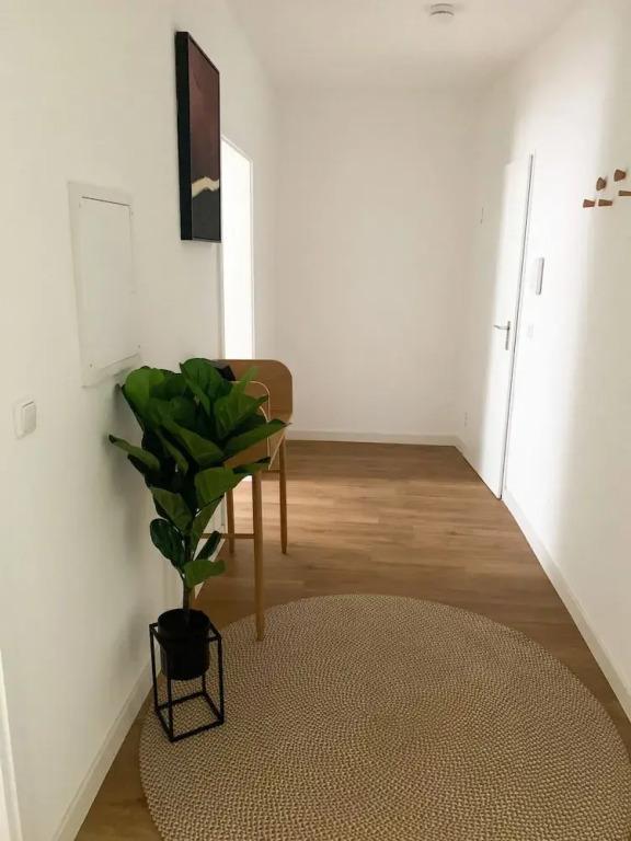 hotel image 21