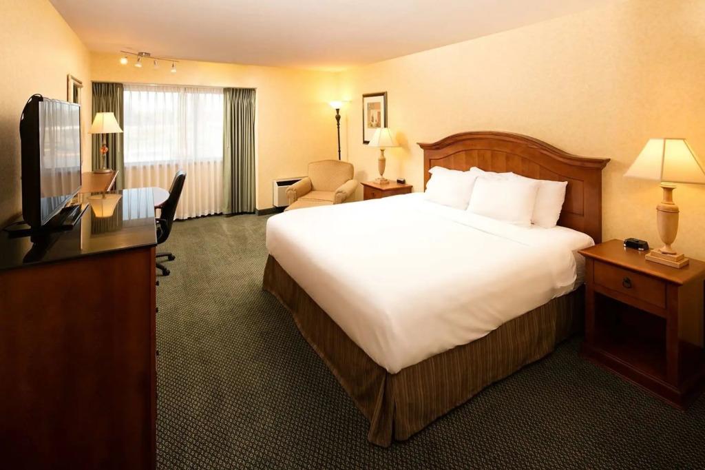 hotel image 102