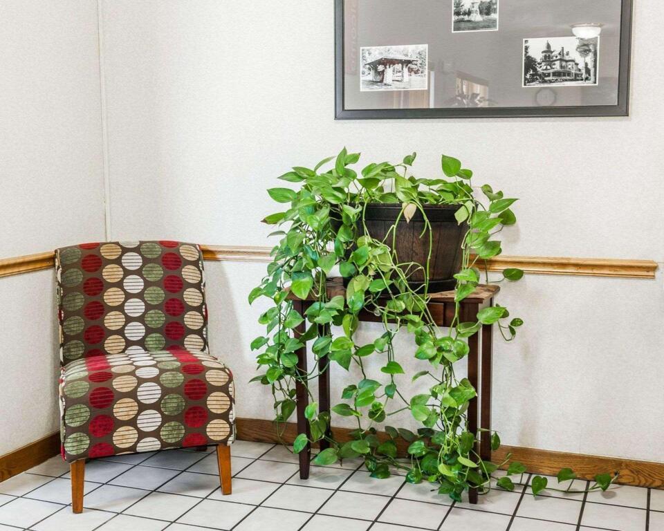 hotel image 20