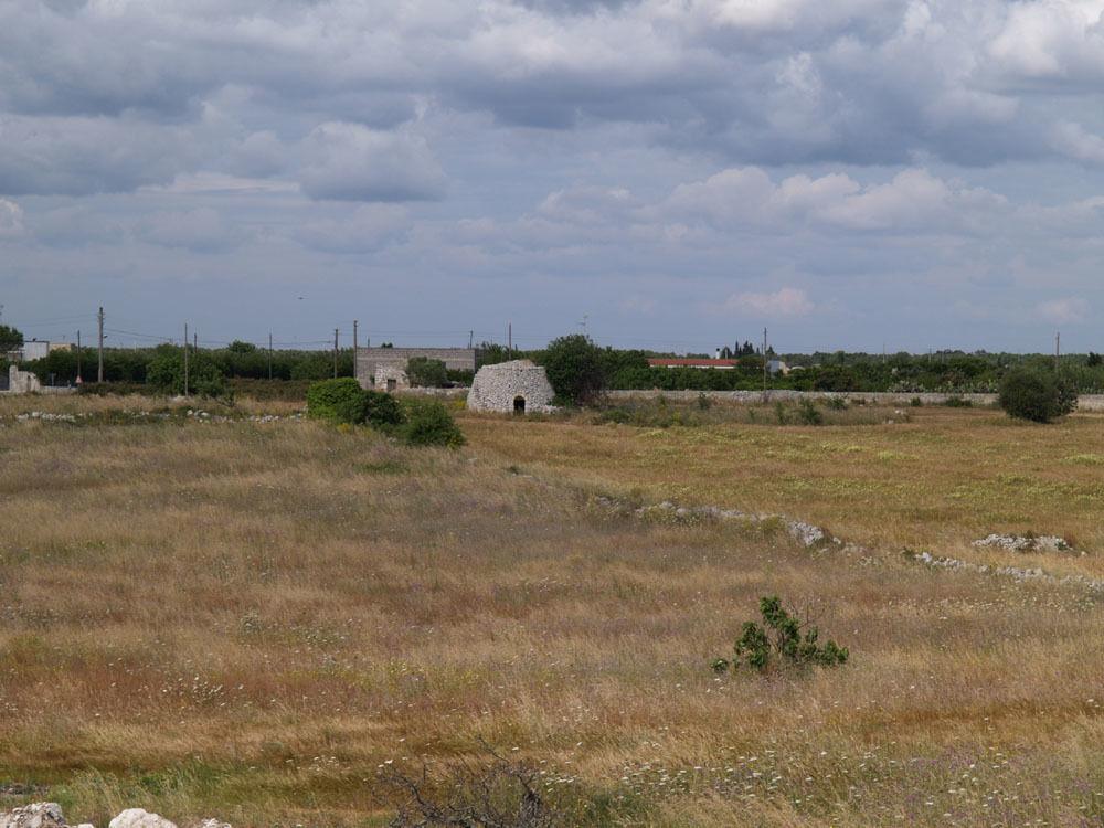 hotel image 43