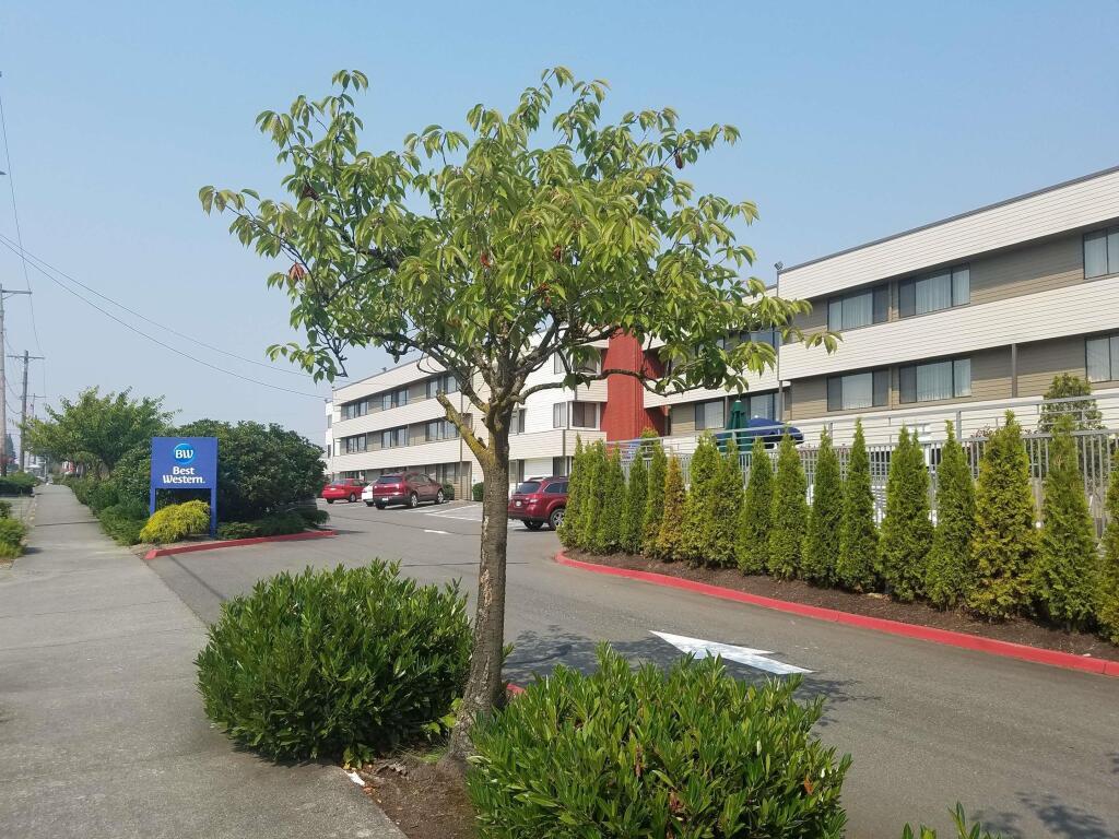 hotel image 47