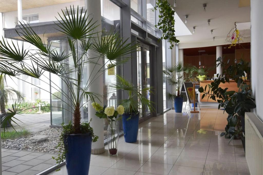 hotel image 10