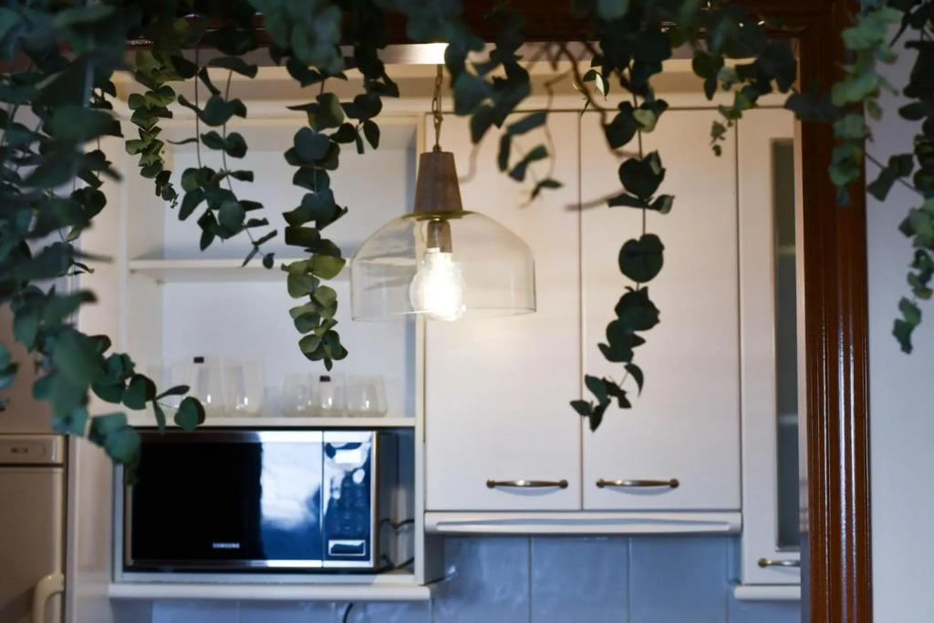 hotel image 24