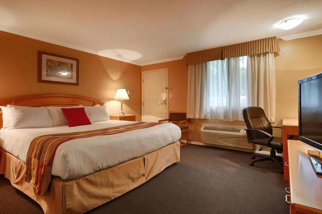 hotel image 42