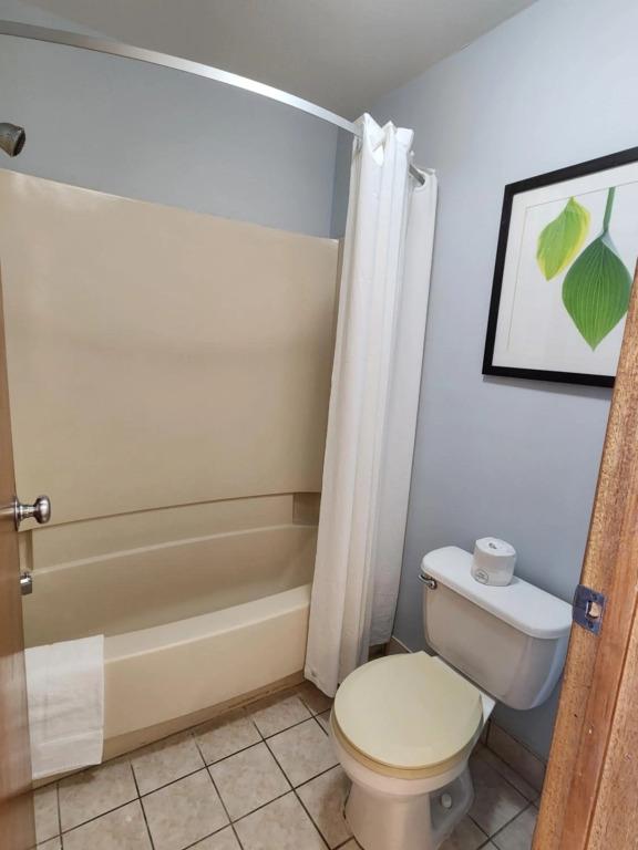 hotel image 33