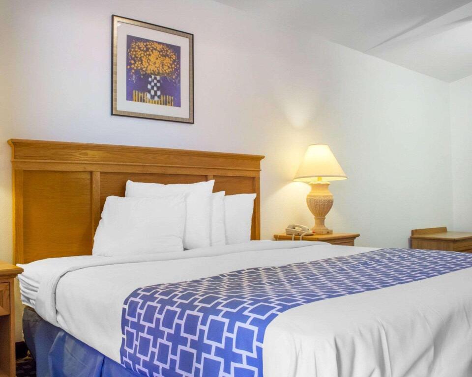 hotel image 807