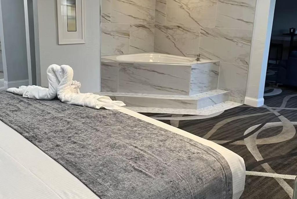 hotel image 24