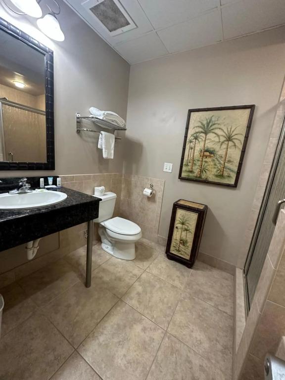 hotel image 24