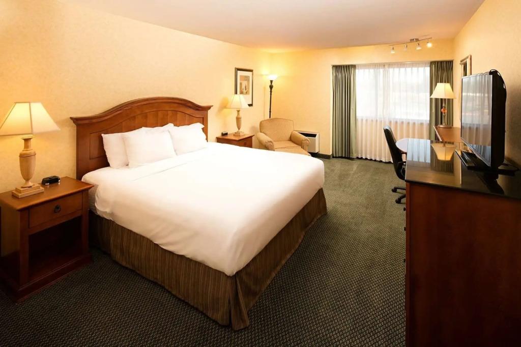 hotel image 59
