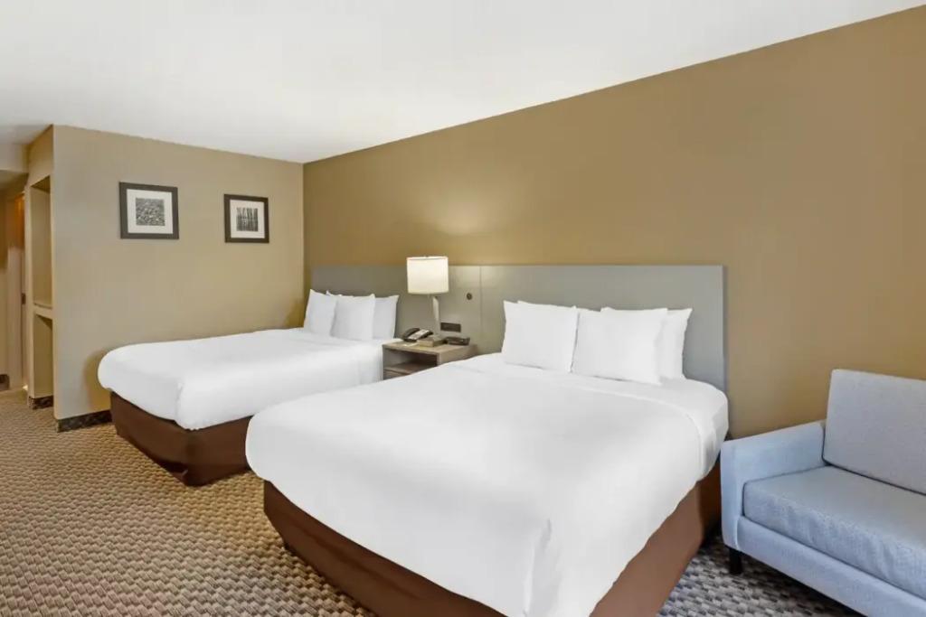 hotel image 20