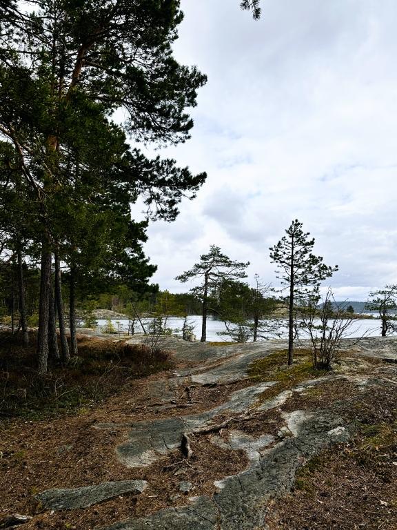 hotel image 32