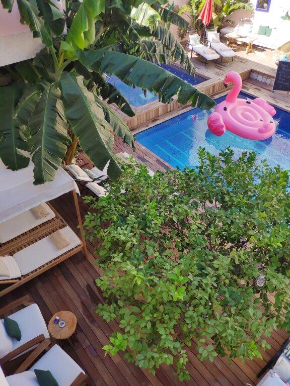 hotel image 36