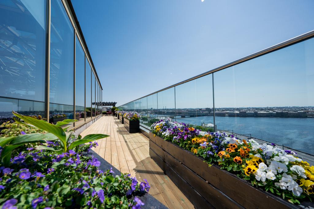 hotel image 9