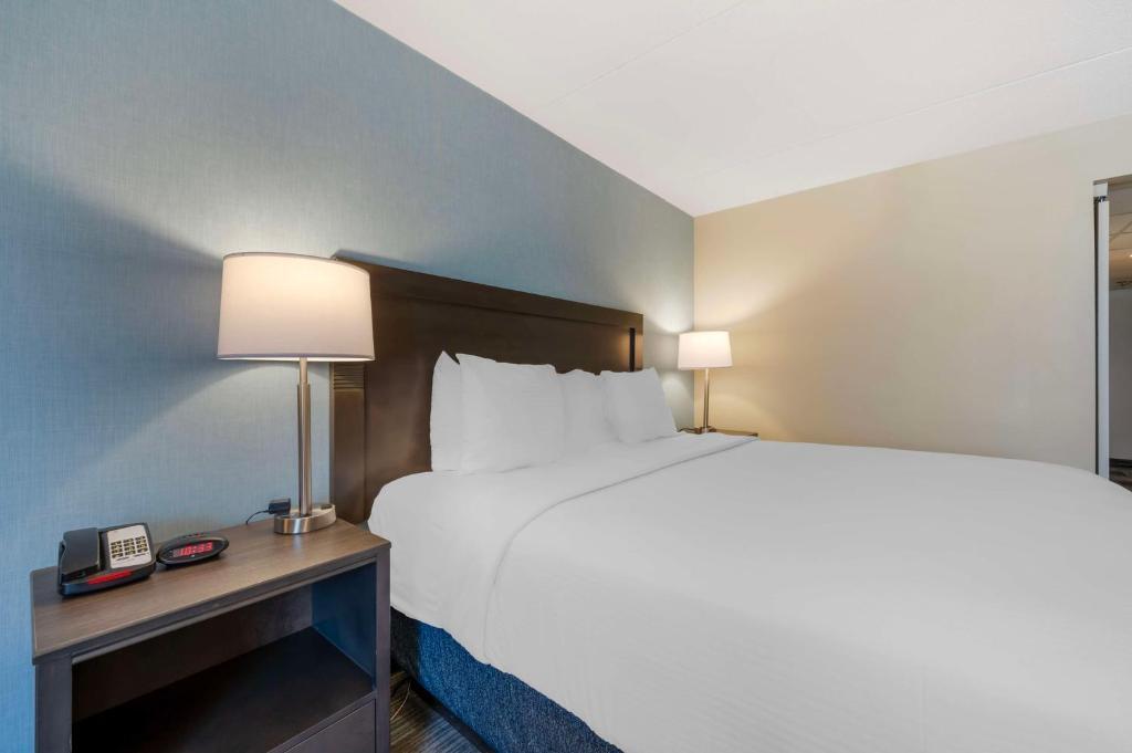 hotel image 16