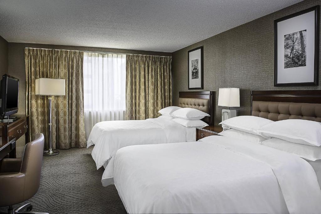 hotel image 17