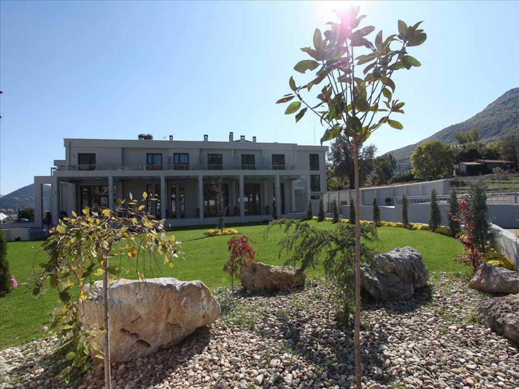 hotel image 21