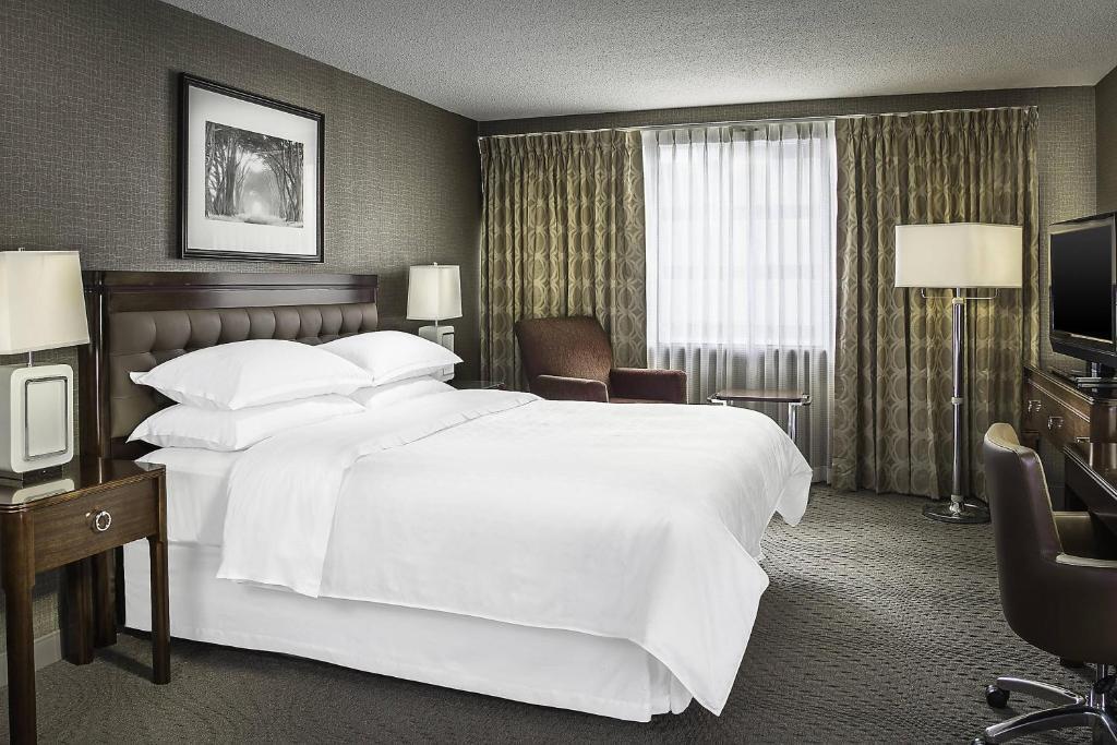 hotel image 23