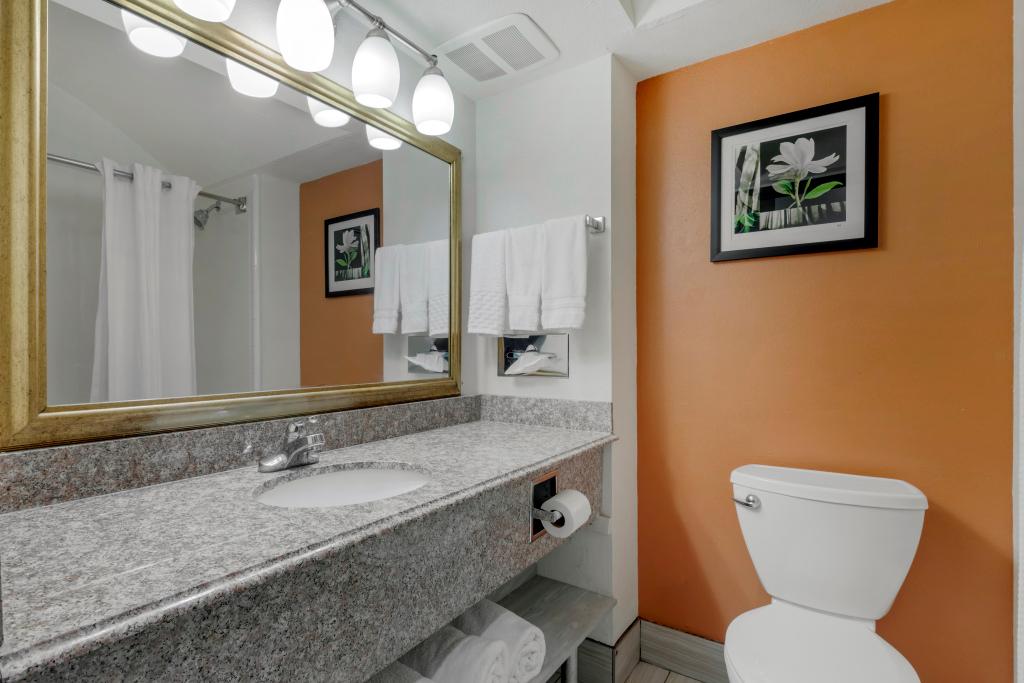 hotel image 14