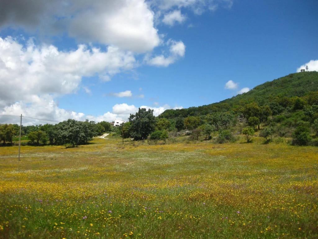 hotel image 35