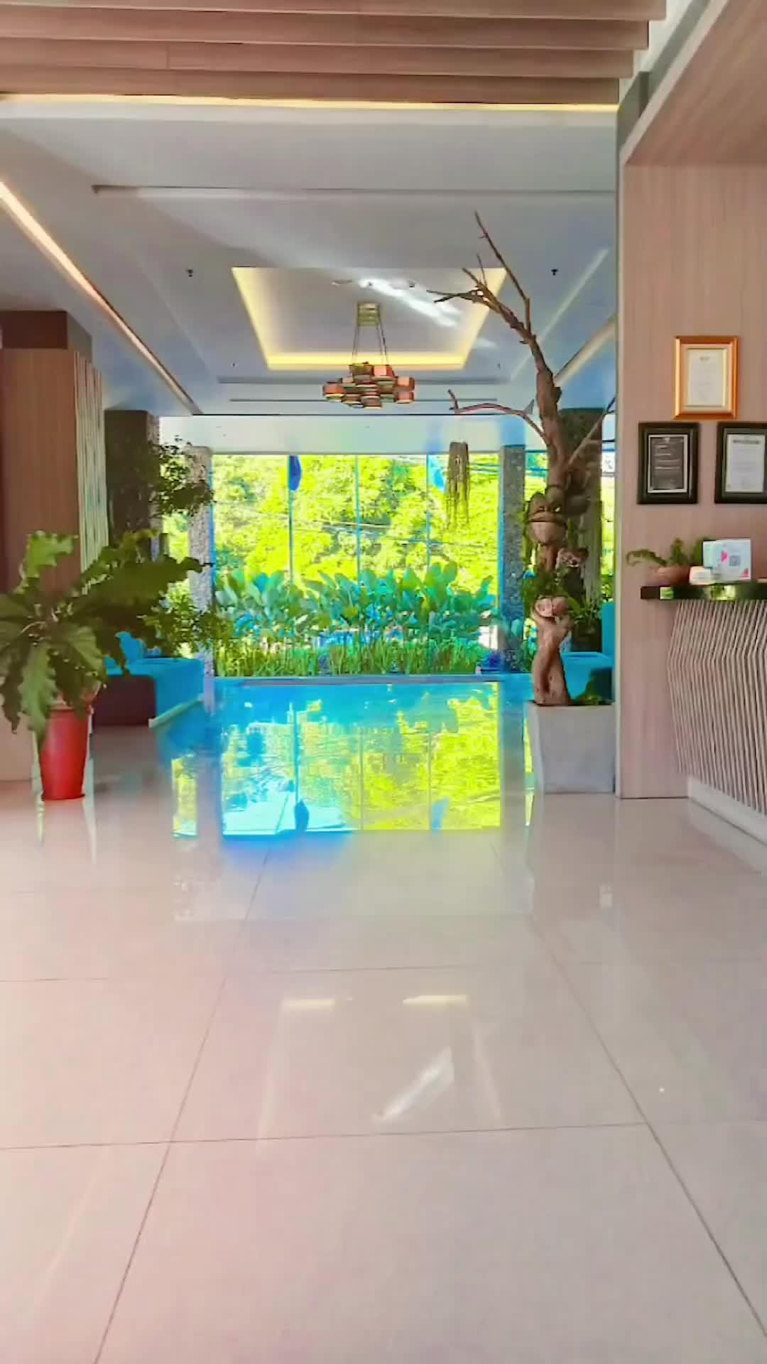 video